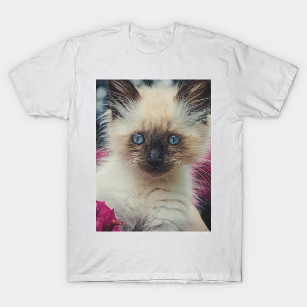 Cute kitty T-Shirt by helintonandruw